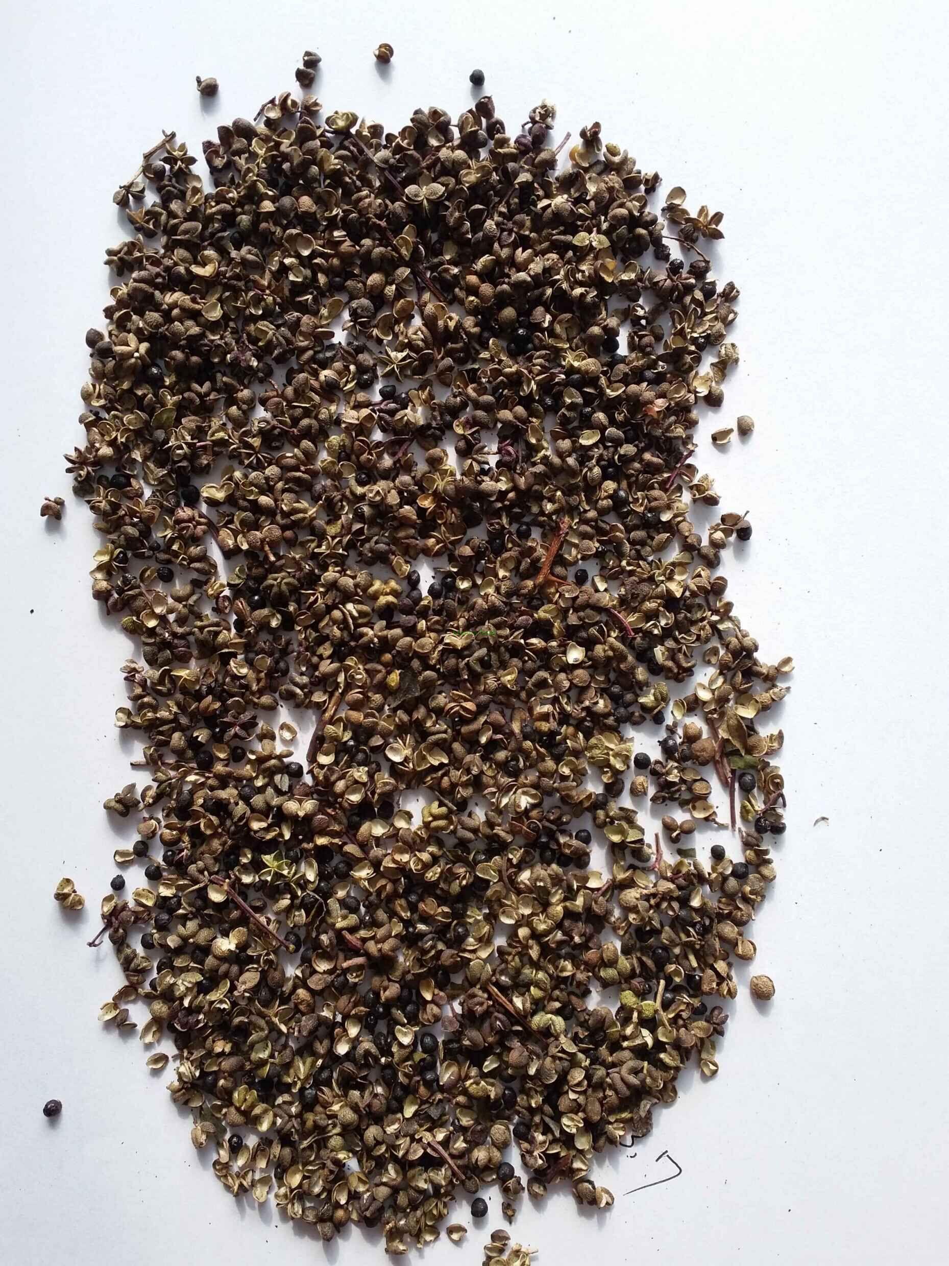 Dried Green Sichuan pepper